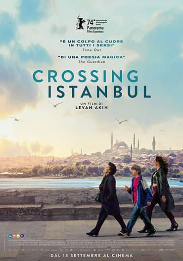 C:\fakepath\crossing_istanbul.jpg