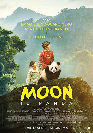 C:\fakepath\Moon Il Panda.jpg